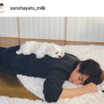 佐野勇斗、“寝正月”なすやすやSHOTにファン悶絶「なにこれ可愛すぎる」「わんちゃんが2匹」