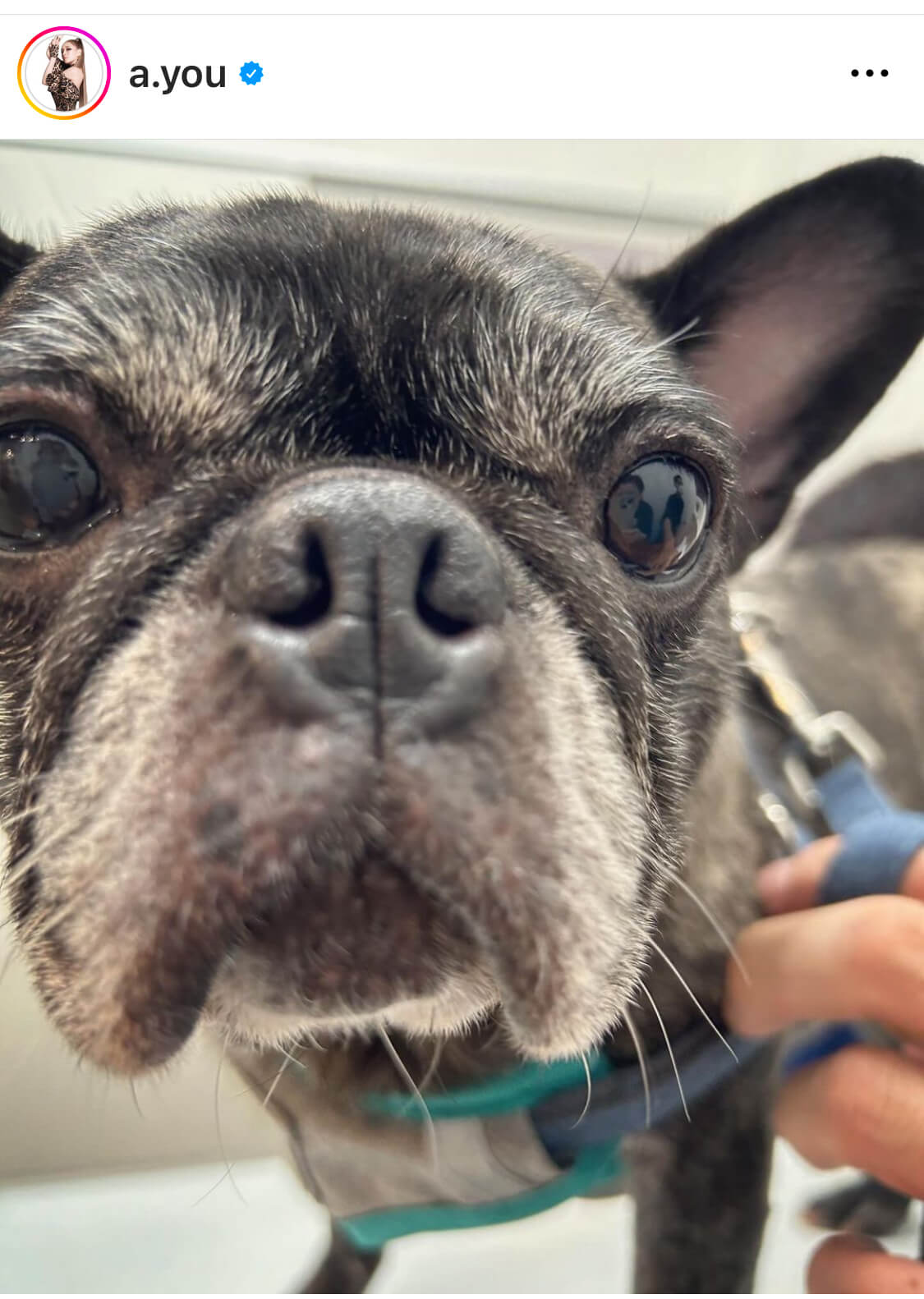 浜崎あゆみ、ミルクティー風の明るめNEWヘアカラー＆ネイルSHOTを公開