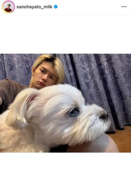 「メロすぎ」佐野勇斗、実家でまったりプラべSHOTにファン大歓喜「好きすぎて滅！！」サムネイル画像!