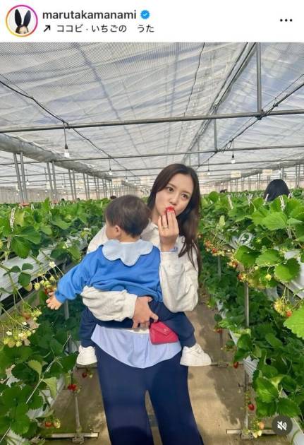 丸高愛実、家族で楽しんだいちご狩りSHOTに反響「ほっこりする」「幸せですね」サムネイル画像!