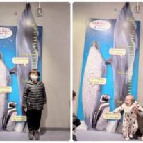 「ザ休日」辻希美、三男＆次女を連れて水族館へ！ほっこり家族SHOT公開「また行きたいね」