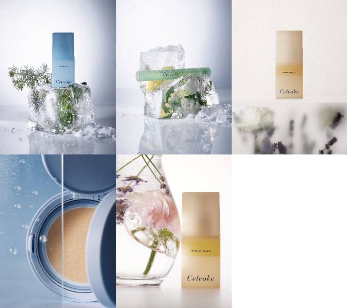 株式会社マッシュホールディングス