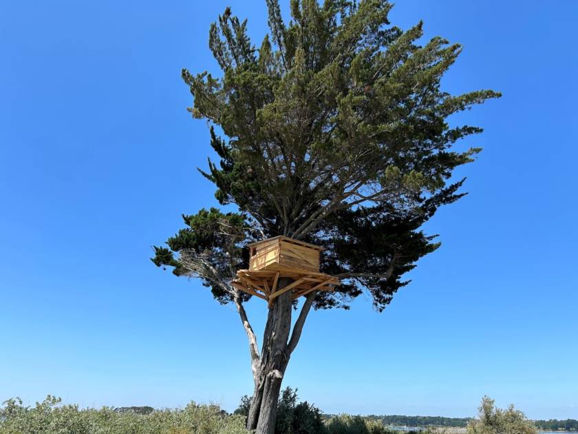 川俣正《Tree Hut Project》【東和銀行本店併設「憩いの広場」】