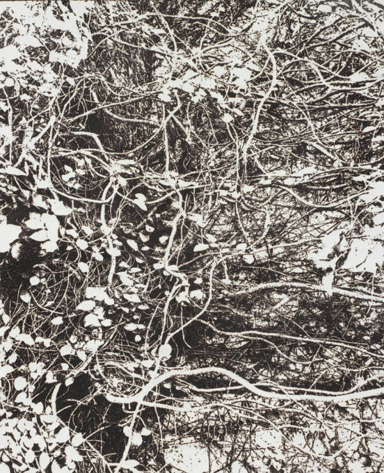 市川孝典、個展「FLEETING DAYS」10月7日より渋谷・NONLECTURE book/artsで開催