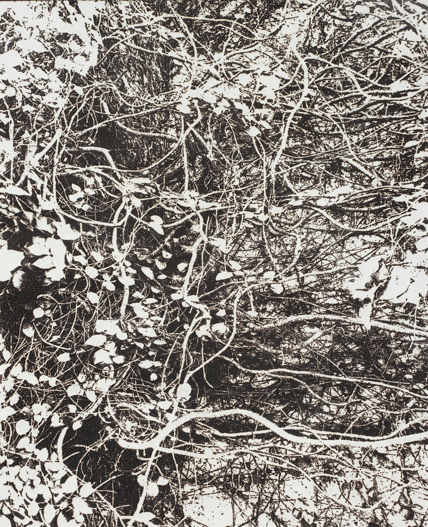 市川孝典、個展「FLEETING DAYS」10月7日より渋谷・NONLECTURE book/artsで開催