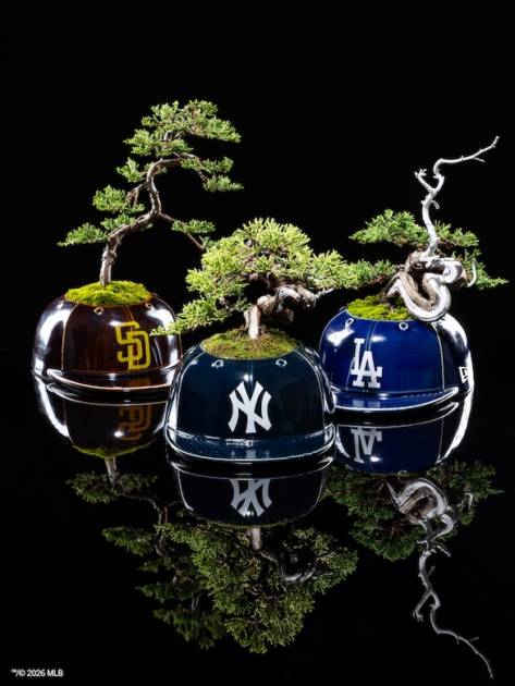 TM/(c) 2026 MLB